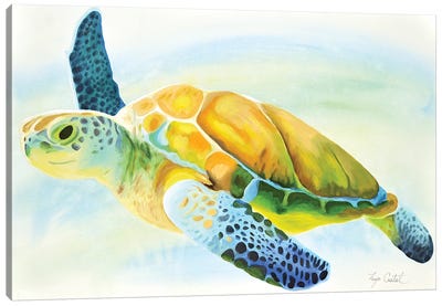 Sea Turtle Canvas Art Print - Tanya Casteel