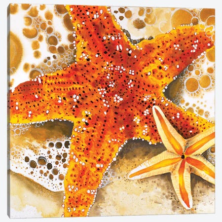 Starfish Canvas Print #TCA96} by Tanya Casteel Canvas Art