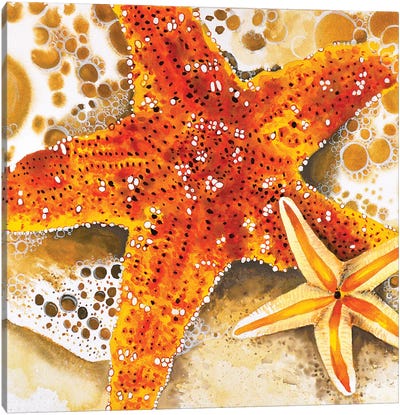 Starfish Canvas Art Print - Tanya Casteel