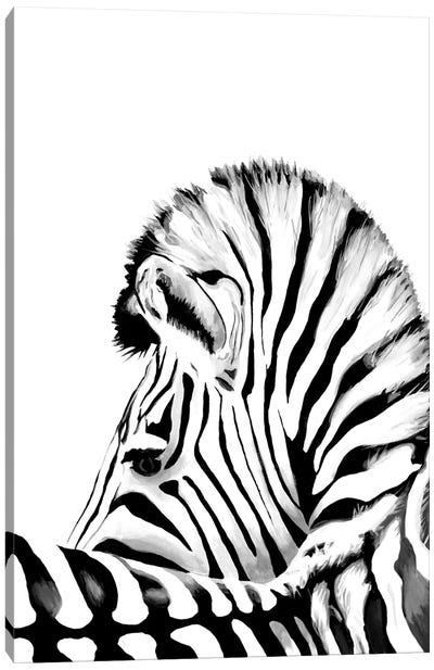 Zebra Canvas Art Print - Tanya Casteel
