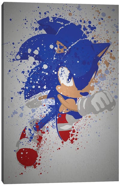 Gotta Go Fast Canvas Art Print - Sonic the Hedgehog