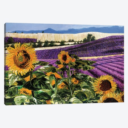 Sunflowers And Lavender Canvas Print #TCK104} by Malenda Trick Art Print