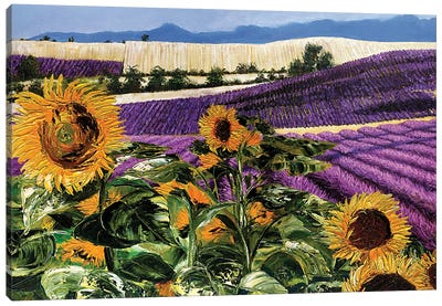 Sunflowers And Lavender Canvas Art Print - Malenda Trick