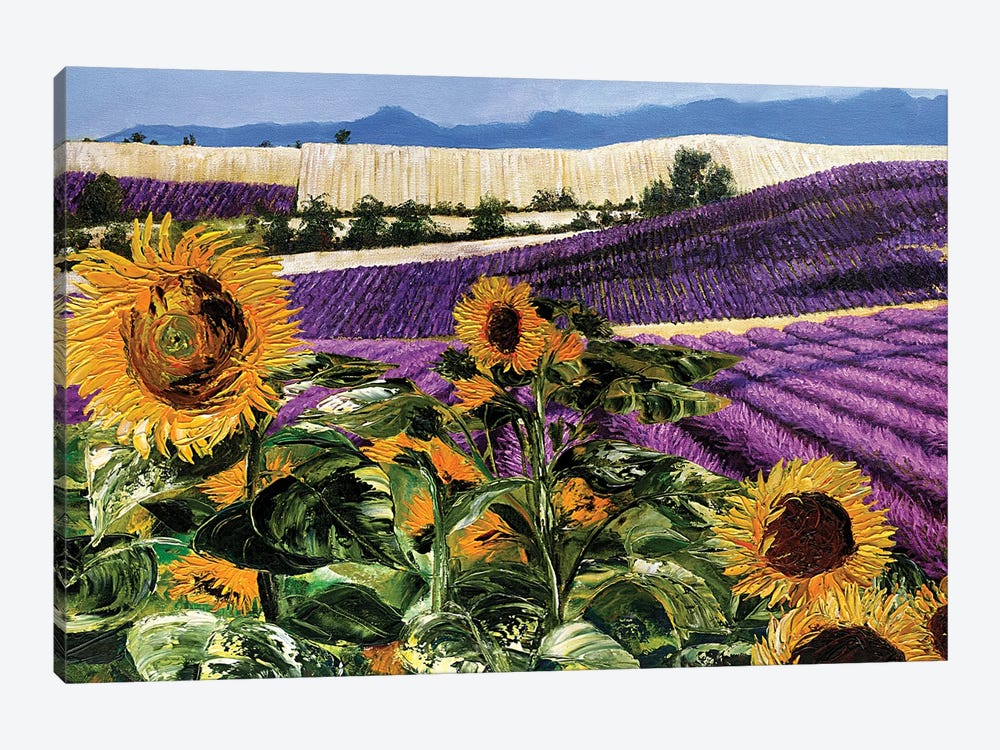 Sunflowers And Lavender by Malenda Trick 1-piece Canvas Artwork