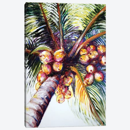 Coconut Palm Canvas Print #TCK41} by Malenda Trick Canvas Artwork