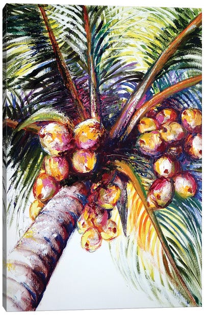 Coconut Palm Canvas Art Print - Malenda Trick