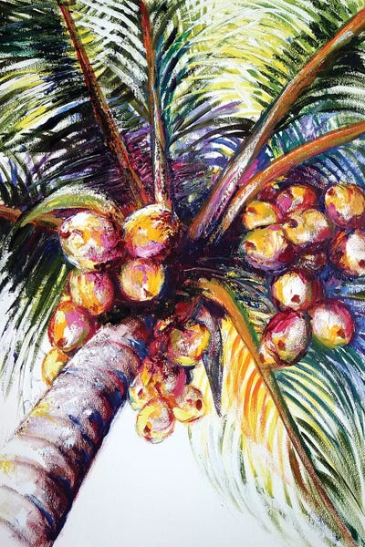 Malenda Trick: Coconut Palm by Malenda Trick