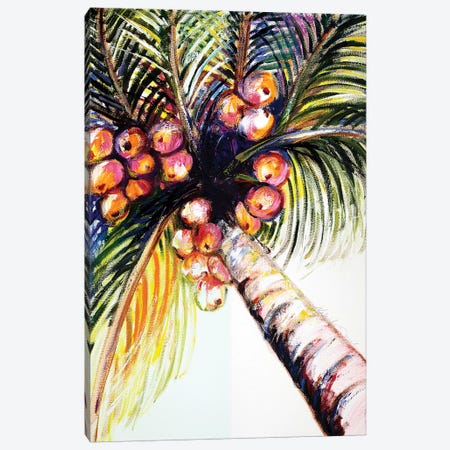 Coconut Palm II Canvas Print #TCK42} by Malenda Trick Canvas Art