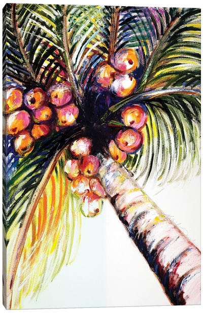 Coconut Palm II Canvas Art Print - Malenda Trick