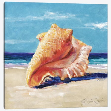 Conch Canvas Print #TCK43} by Malenda Trick Canvas Artwork