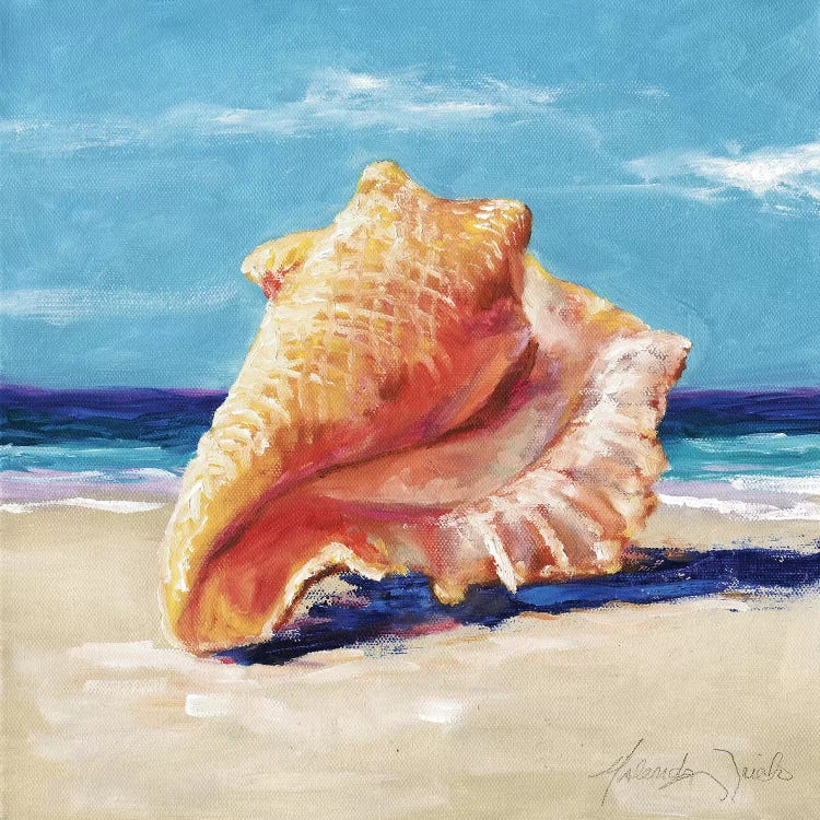 Conch