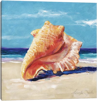 Conch Canvas Art Print - Malenda Trick