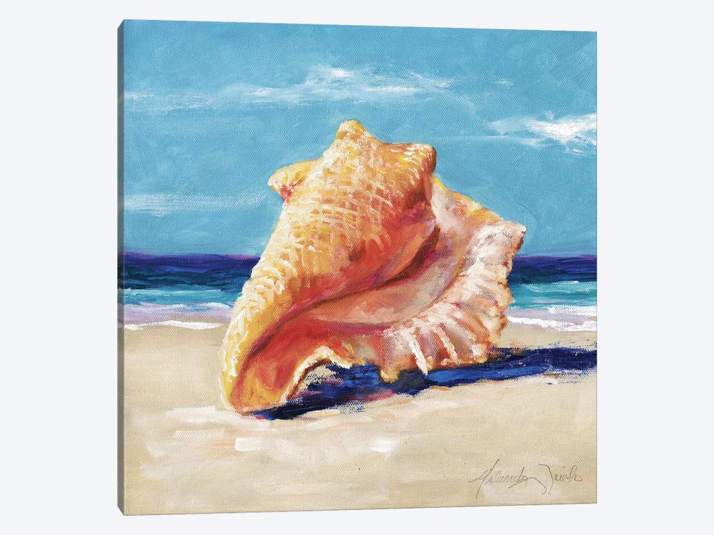 Conch by Malenda Trick 1-piece Canvas Art