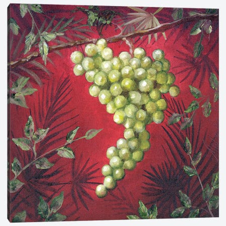 Sicillian Grapes I Canvas Print #TCK61} by Malenda Trick Canvas Art