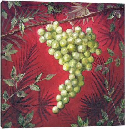 Sicillian Grapes I Canvas Art Print - Malenda Trick
