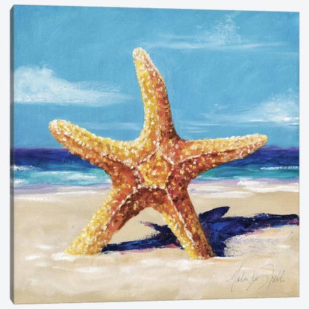 Star Canvas Print #TCK64} by Malenda Trick Canvas Print