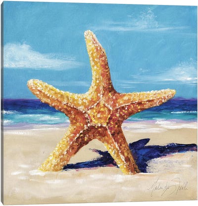 Star Canvas Art Print - Starfish Art