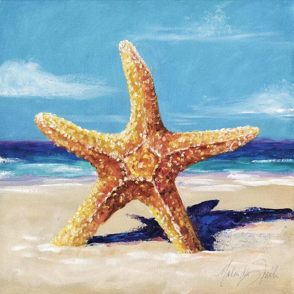 Starfish: Star by Malenda Trick