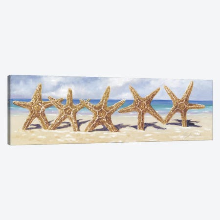 Starfish I  Canvas Print #TCK65} by Malenda Trick Canvas Print