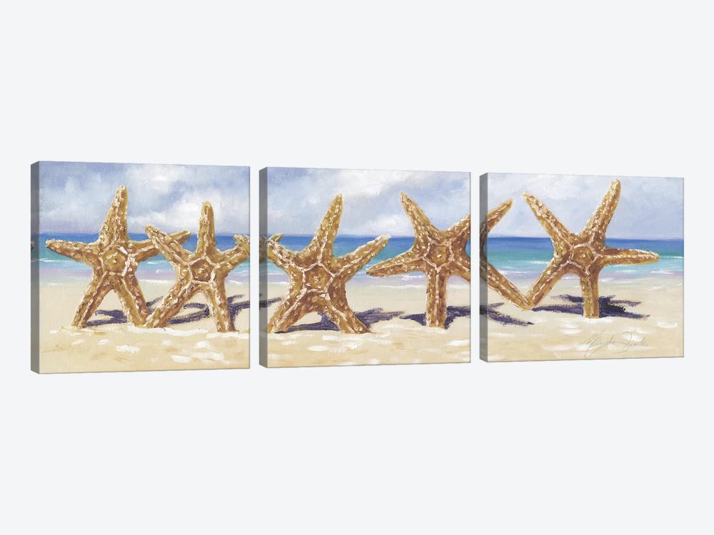 Starfish I  by Malenda Trick 3-piece Canvas Artwork