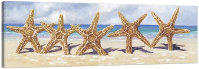 Starfish I  Canvas Art Print - Malenda Trick