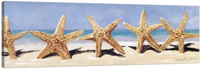 Starfish II Canvas Art Print - Malenda Trick