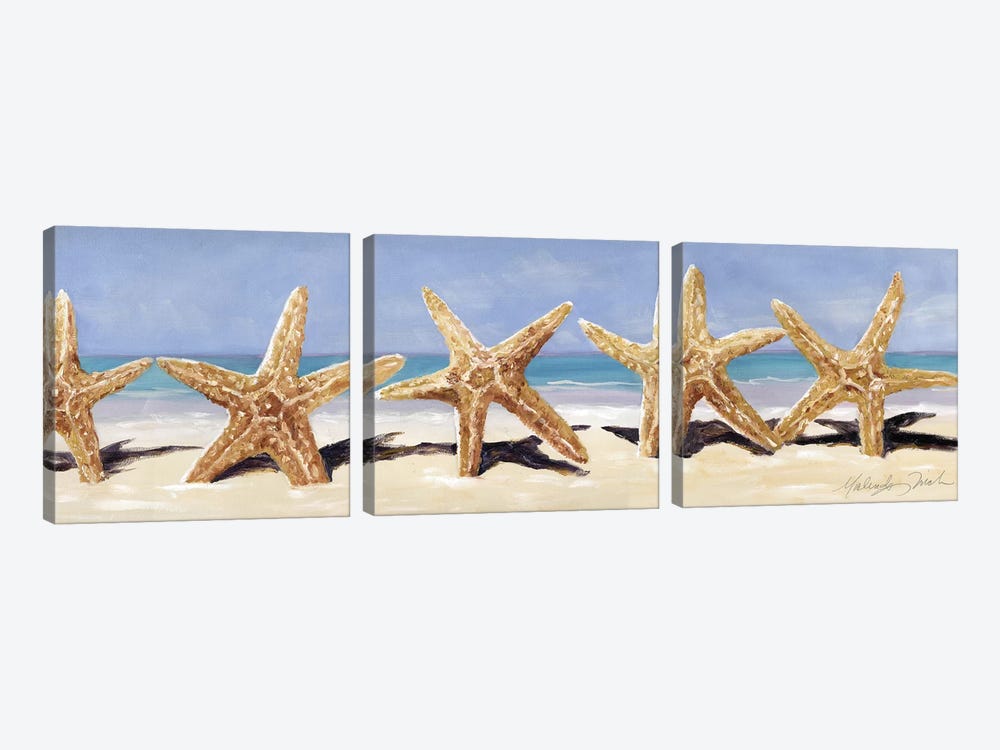 Starfish II by Malenda Trick 3-piece Canvas Art Print