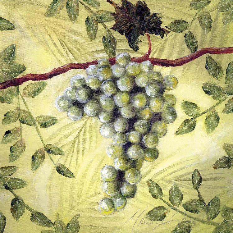 Sunshine Grapes II