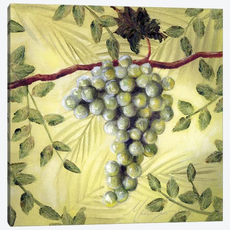 Sunshine Grapes II Canvas Print #TCK69} by Malenda Trick Canvas Artwork