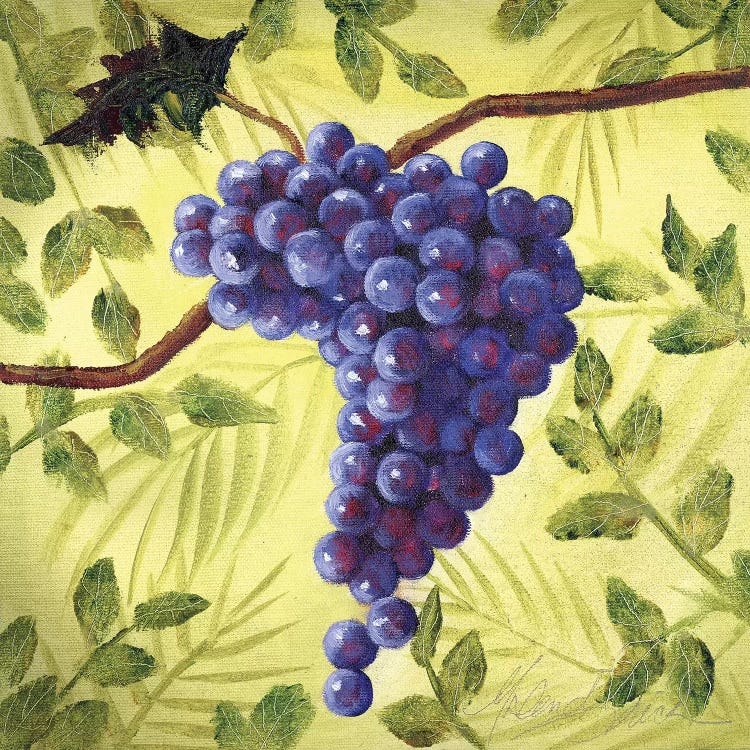 Sunshine Grapes III