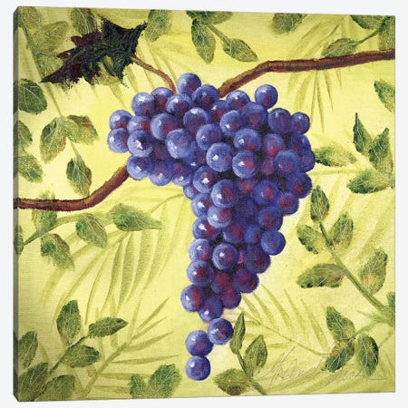 Sunshine Grapes III Canvas Print #TCK70} by Malenda Trick Art Print