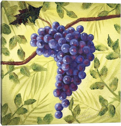 Sunshine Grapes III Canvas Art Print - Malenda Trick
