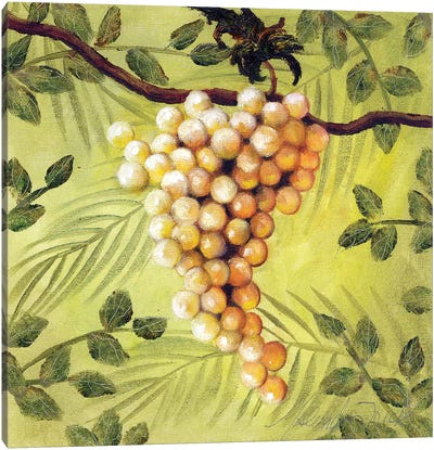 Sunshine Grapes IV Canvas Art Print - Malenda Trick