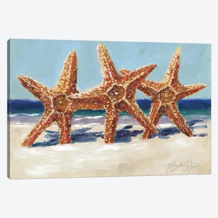 Three Starfish Canvas Print #TCK78} by Malenda Trick Art Print