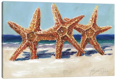 Three Starfish Canvas Art Print - Starfish Art