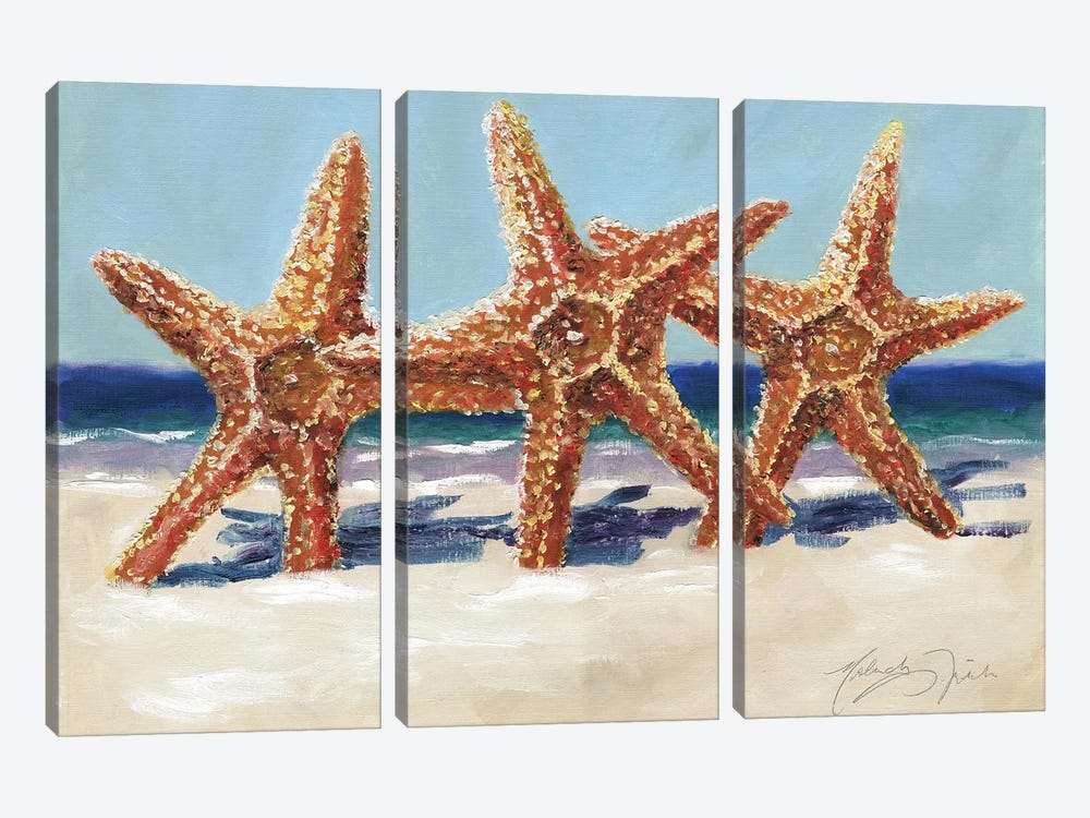 Three Starfish by Malenda Trick 3-piece Canvas Wall Art