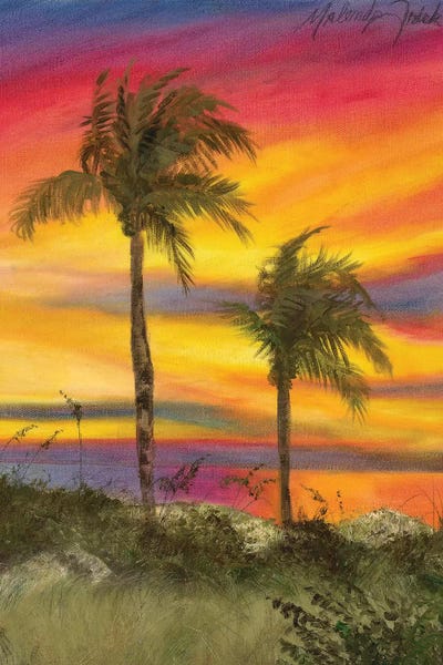 Tiger Tail Sunset by Malenda Trick acrylic art print