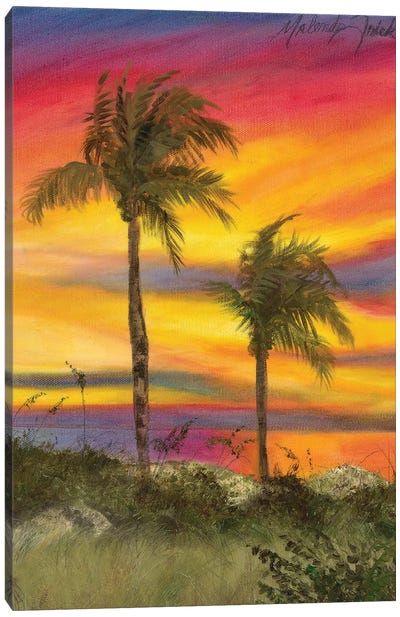 Tiger Tail Sunset Canvas Art Print - Malenda Trick