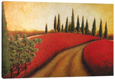 Tuscan Path I  Canvas Art Print - Malenda Trick
