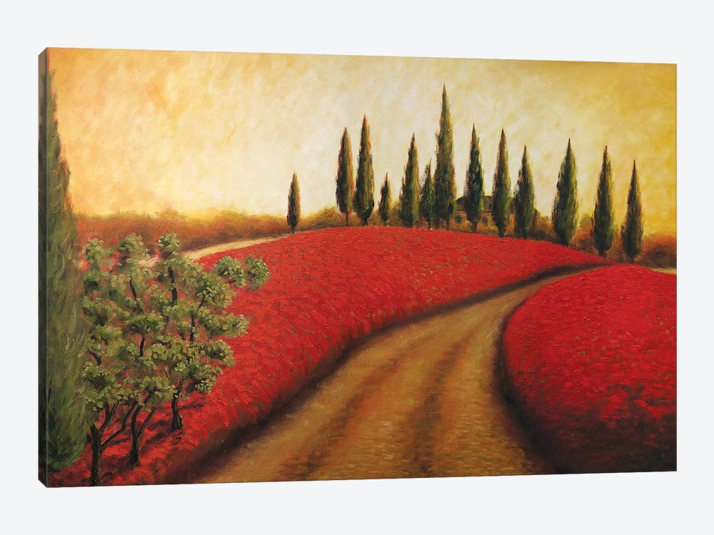 Tuscan Path I  by Malenda Trick 1-piece Canvas Print