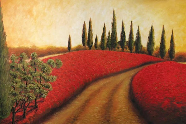 Malenda Trick: Tuscan Path I  by Malenda Trick
