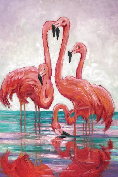 Five Flamingos