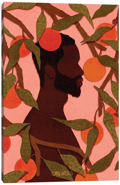 Fruitful Man 'Pink' Canvas Art Print - Orange Art