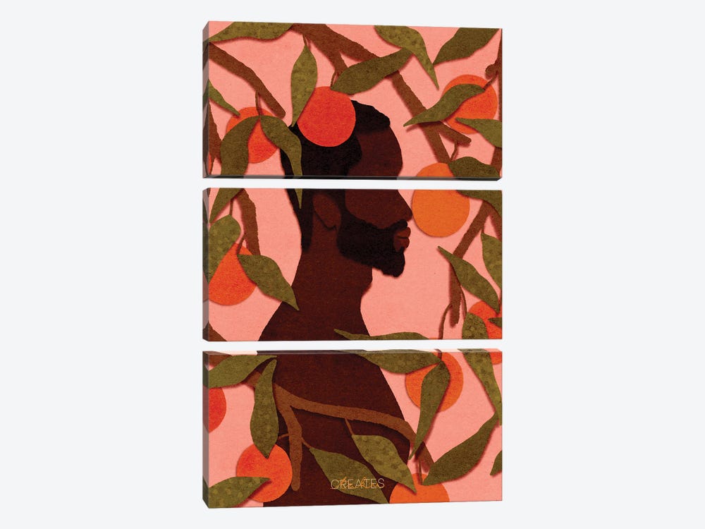 Fruitful Man 'Pink' by Taku Creates 3-piece Canvas Art Print