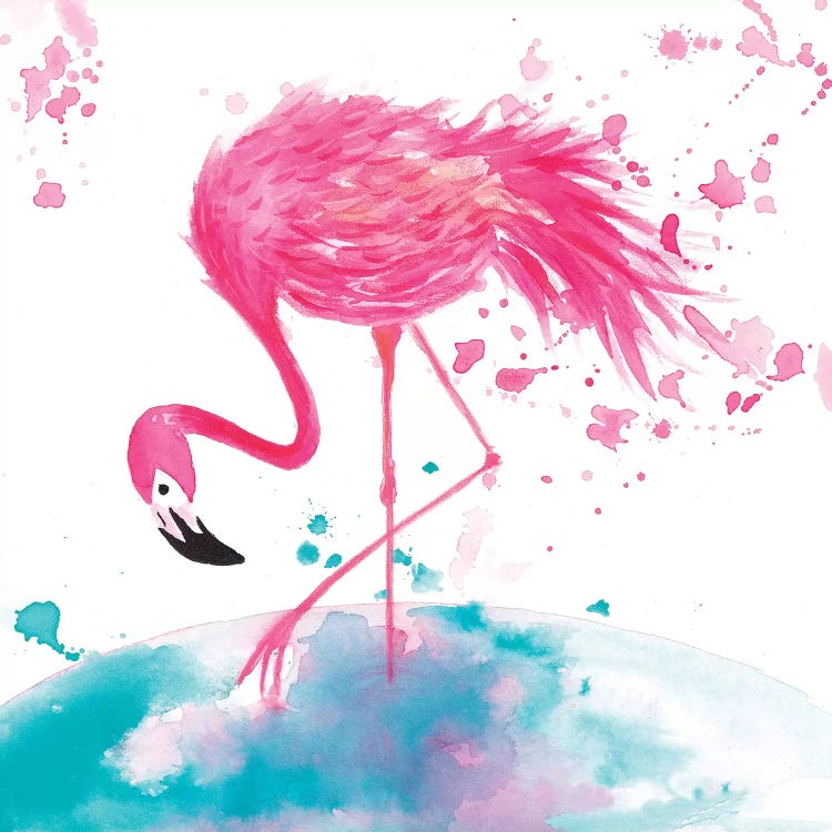 Flamingo II