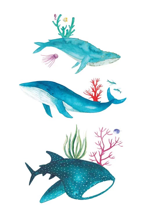 Ocean Creatures by The Cosmic Whale wall art