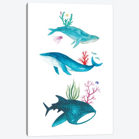 Ocean Creatures Canvas Print #TCW26} by The Cosmic Whale Canvas Art Print
