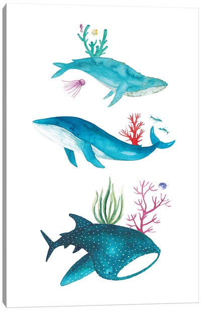 Ocean Creatures Canvas Art Print - The Cosmic Whale