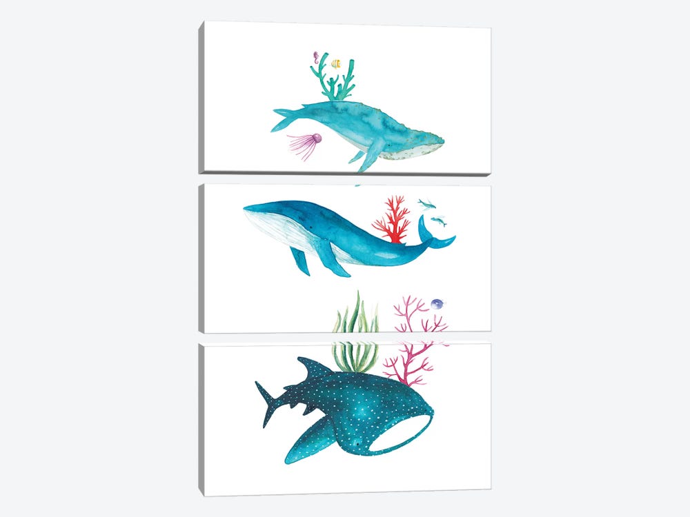 Ocean Creatures by The Cosmic Whale 3-piece Canvas Art