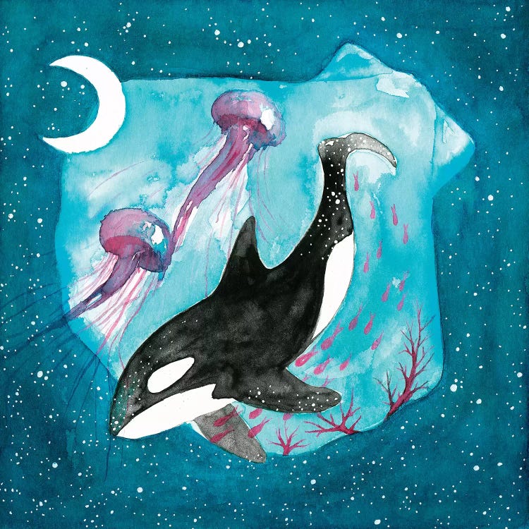 Orca by The Cosmic Whale wall art